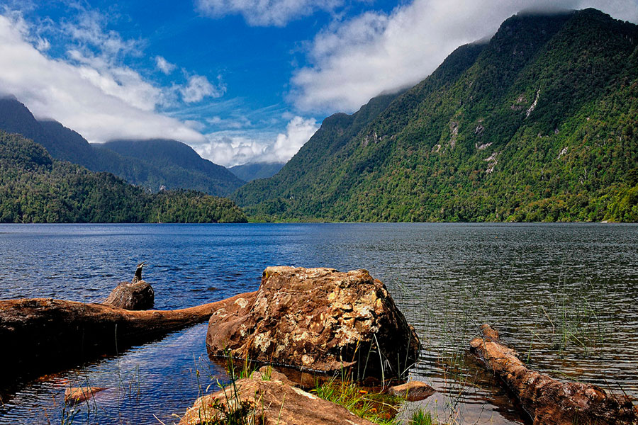 parque nacional alercer andino lago sargazo web