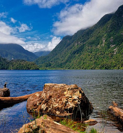parque nacional alercer andino lago sargazo web